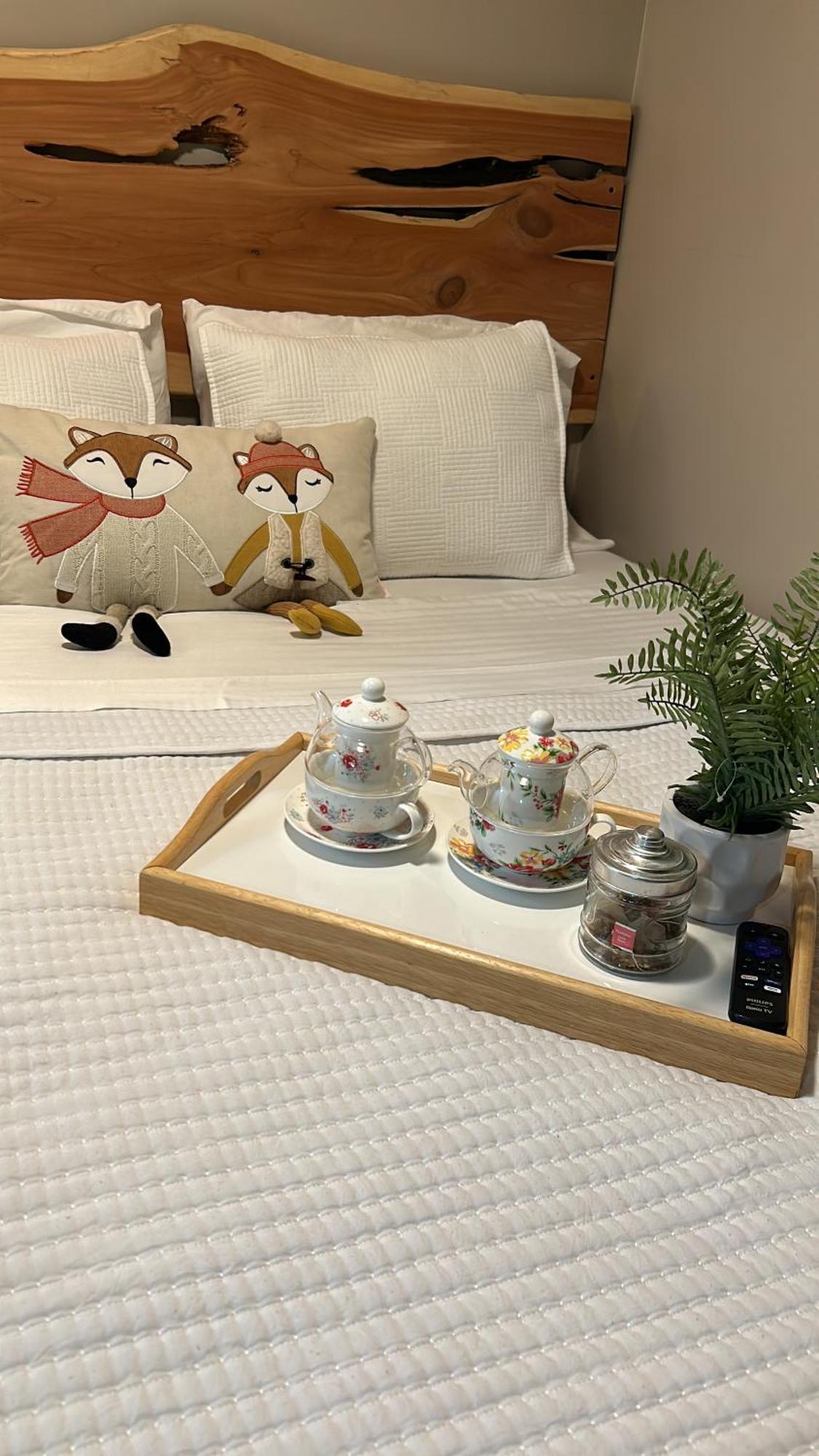 Sweet Tiny Cabin تامبا المظهر الخارجي الصورة